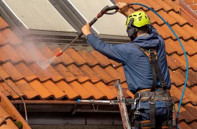 Démoussage et hydrofuge de toiture à Bethmale
